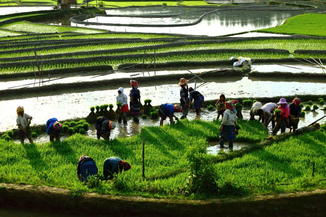 Mu Cang Chai Eco Lodge Nam San Exterior foto