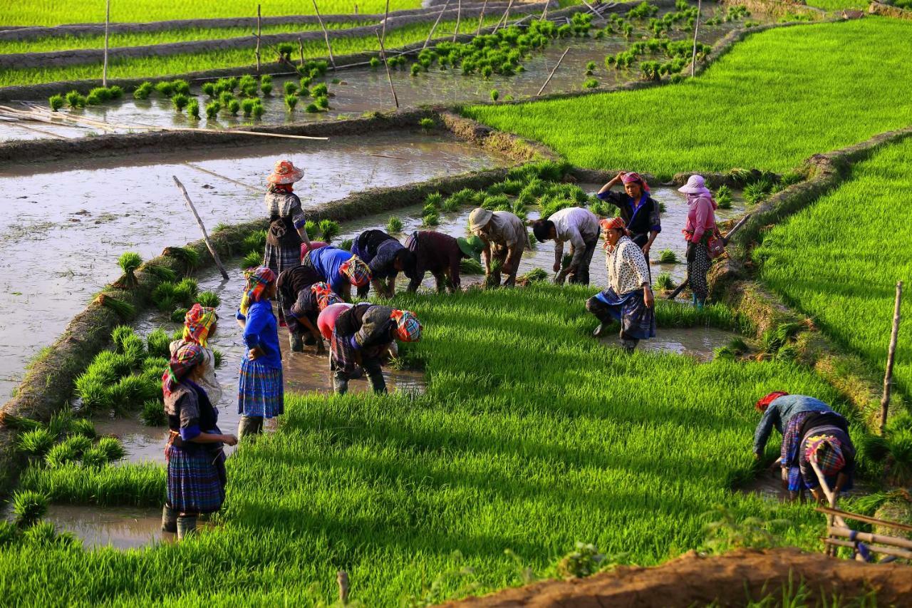 Mu Cang Chai Eco Lodge Nam San Exterior foto
